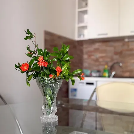 A3-90m2 W Shared Pool & Balcony Next To דירה טרוגיר